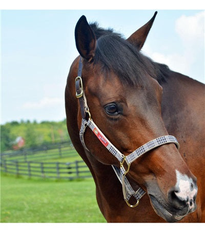 5/A Baker® Breakaway Halter with Full Leather Crown 1"