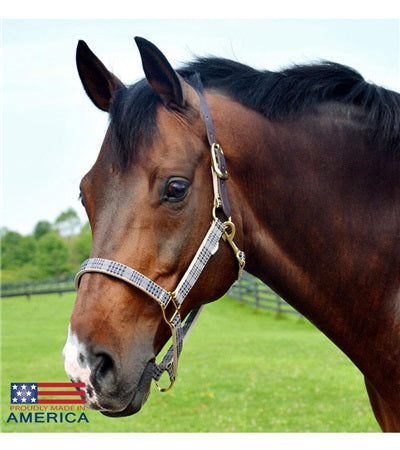 5/A Baker® Breakaway Halter with Full Leather Crown 1"