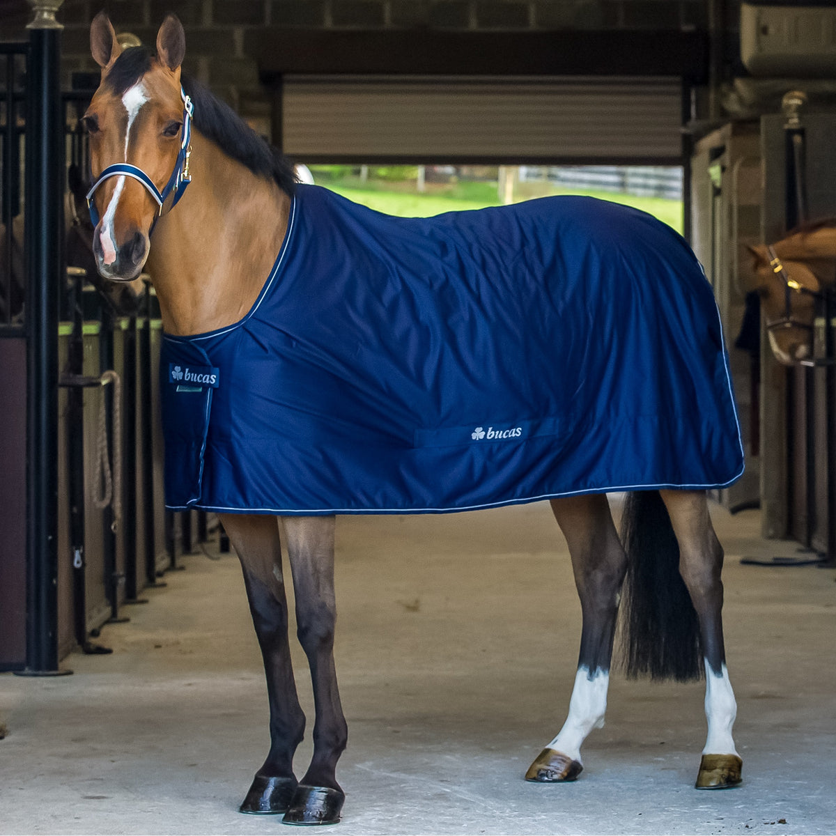 Bucas Recuptex Therapy Blanket