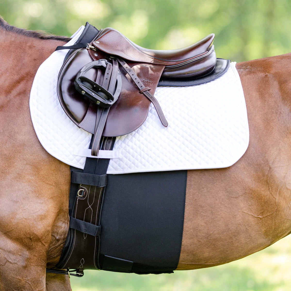 Equifit BellyBand+™