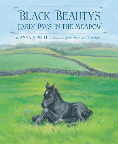 Sleeping Bear Press - Black Beauty's Early Days in the Meadow