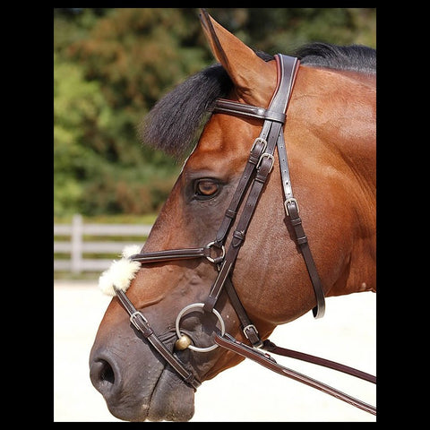 Dy'on Working Collection: Classic Figure of 8 Bridle