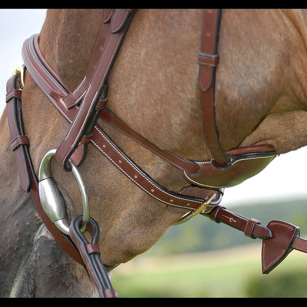 Dy'on Differance Collection: Flash Bridle