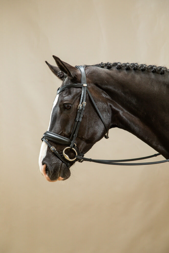 Dy'on Working Collection:Matte Black Dressage Large Crank Noseband Bridle With Flash full size