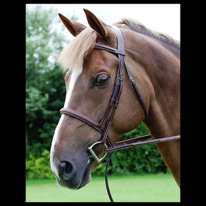 Dy'on Hunter Collection Cavesson Noseband