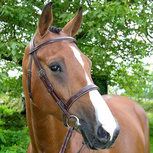 Dy'on Wide Nose Hunter Bridle