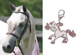Belle and Bow Bridles For Ponies and Small Horses