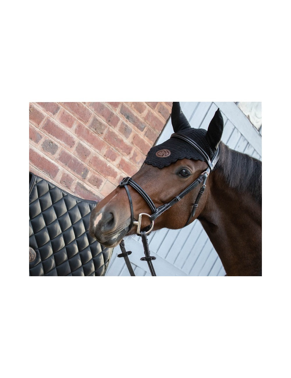 JumpIn Tuesday collection bridle