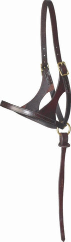 Walsh Grow With Me Foal Halter