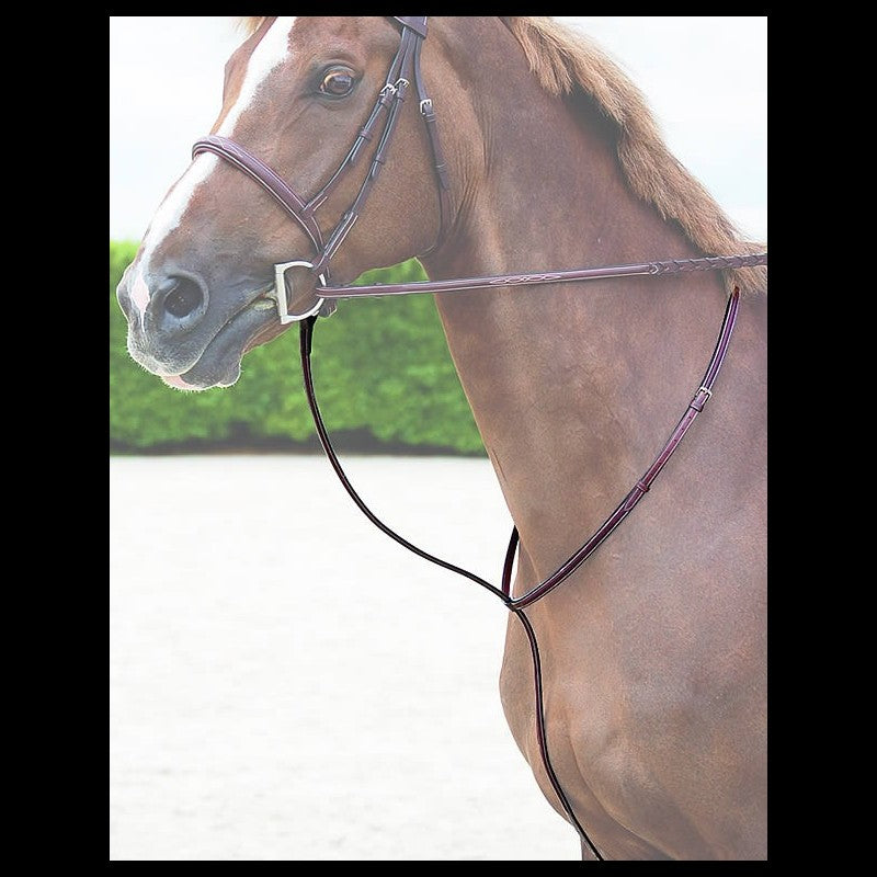 Dy'on Standing Martingale