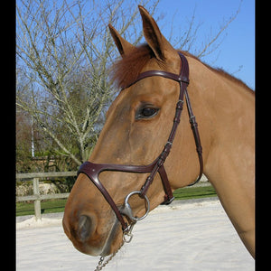 Dy'on - New English Collection X-Fit Anatomic Bridle